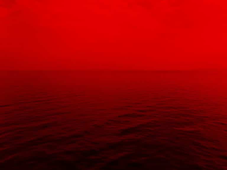 En Floride, une marée rouge décime la faune sous-marine