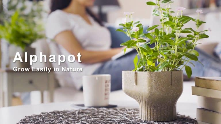 Alphapot : un pot de fleurs biodégradable fabriqué à partir de déchets alimentaires