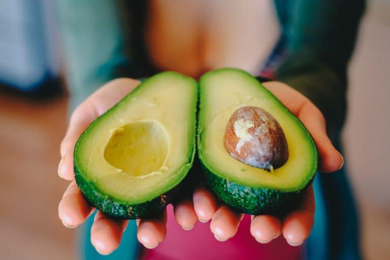 L’avocat, un fléau pour le Mexique