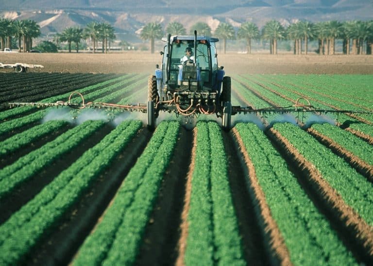 Procès Roundup : la firme Monsanto condamnée à verser 289 millions de dollars à Dewayne Johnson