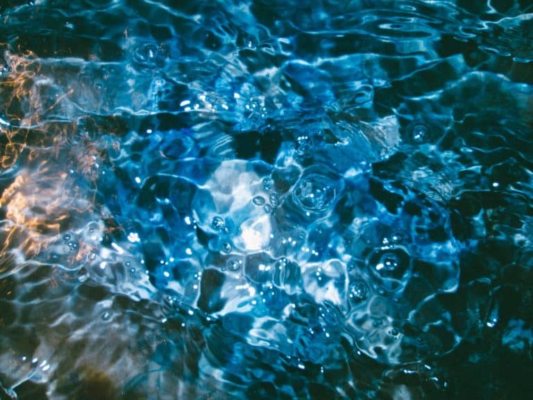 L214 : la production de viande consomme énormément d’eau
