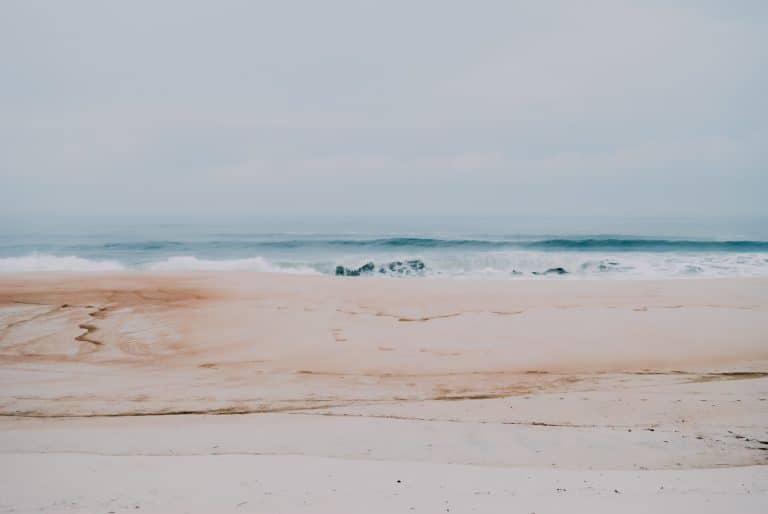 Le réchauffement des mers et océans est très préoccupant