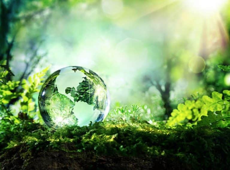 Environnement : à compter de ce 1er août l&rsquo;humanité vit à crédit écologique