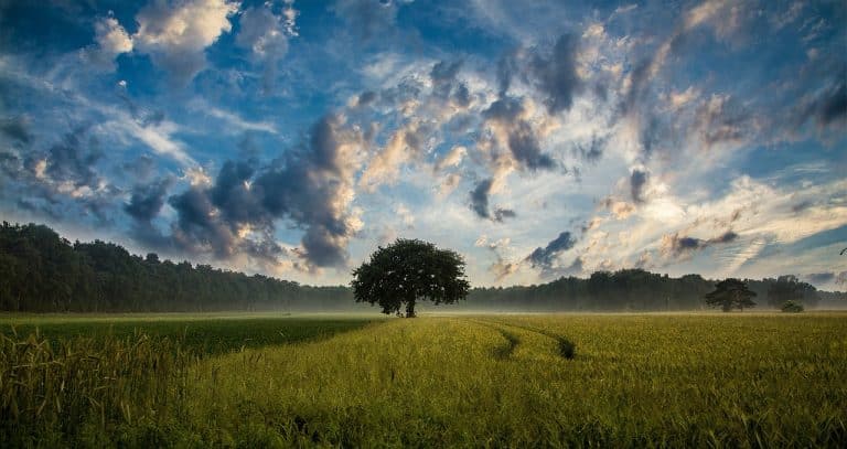Les ressources annuelles de la Terre sont officiellement épuisées