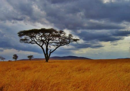 tanzanie
