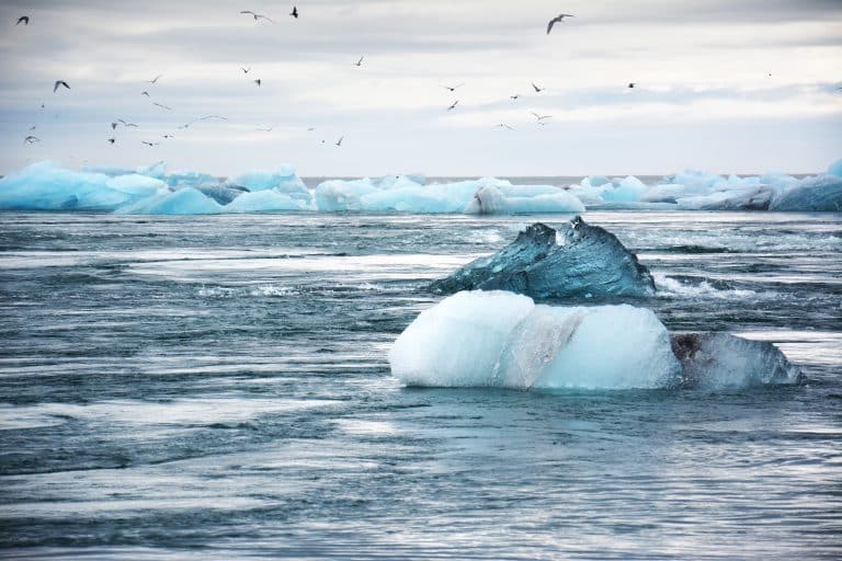 700 scientifiques français s’allient pour mettre en garde contre le réchauffement climatique