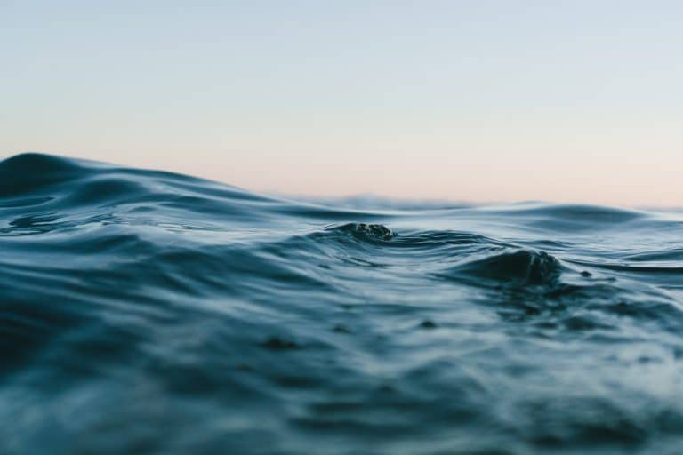 Un bateau se lance pour mission de nettoyer le Pacifique des déchets plastiques