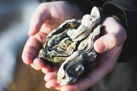 Les conséquences de la sécheresse dans nos assiettes : quelles sont-elles ? sécheresse