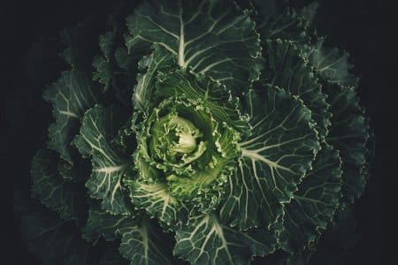 Découvrez la permaculture à travers une sélection d’ouvrages