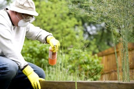 Top 5 des départements français champions de l’usage des pesticides