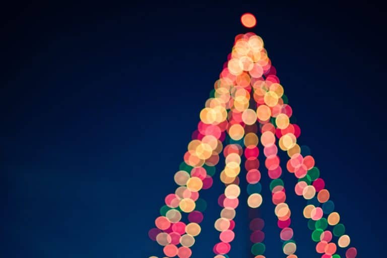 Pour un Noël plus propre, que doit-on faire des déchets ?