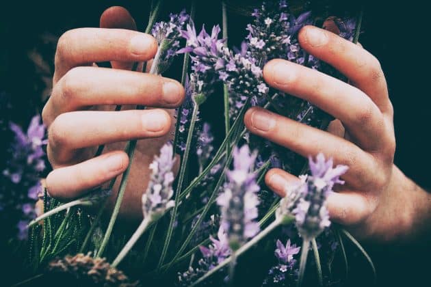 La phytothérapie pour soulager les petites douleurs phytothérapie