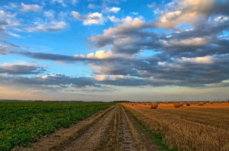 Comment améliorer la productivité agricole ?
