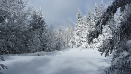 Les conséquences du changement climatique sur l’enneigement dans les Pyrénées