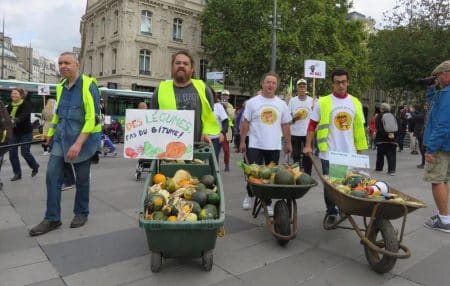Aménagement du triangle de Gonesse : Forces et faiblesses du projet Carma