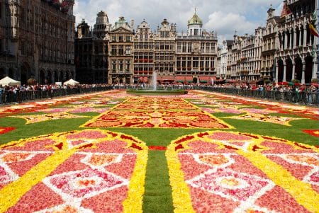 Bruxelles plantera désormais un arbre pour chaque nouveau bébé