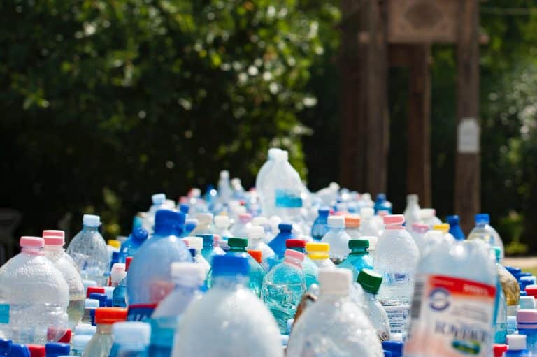 Ce bioplastique à base de sciure de bois se décompose en 90 jours chrono