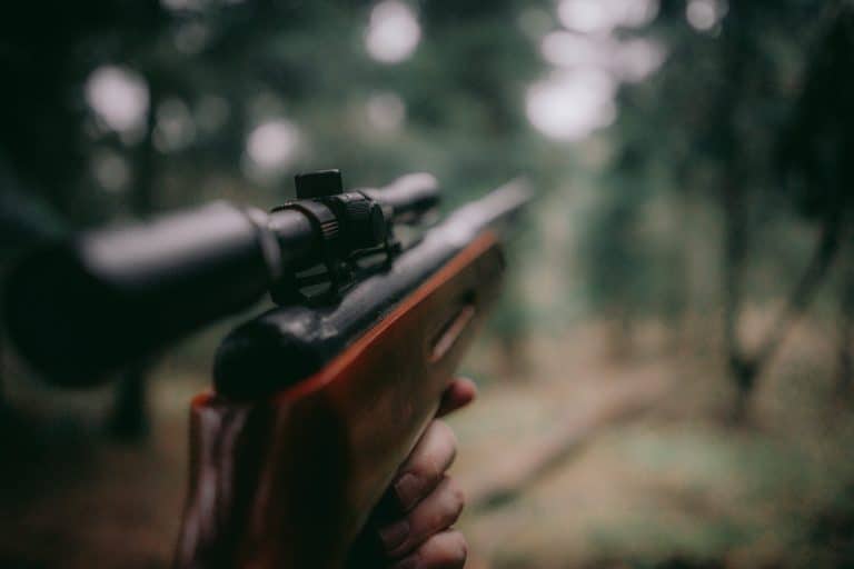 Conseils pour randonner en toute sécurité en périodes de chasse