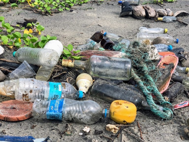 Crise du plastique : la solution de l’ONG WWF pour en sortir