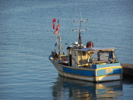 Dès 2021, la pêche électrique sera interdite en Europe