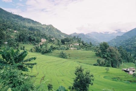 Le Sikkim en Inde est le premier état 100 % bio du globe