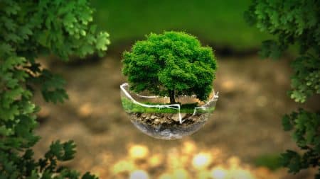 Top 5 des pays les plus engagés pour l’environnement en 2019 !