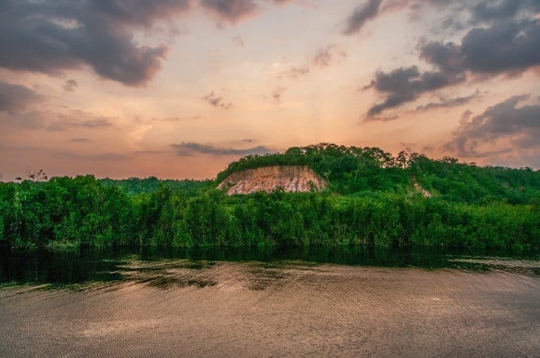 Amazonie : le pire pic de déforestation depuis dix ans