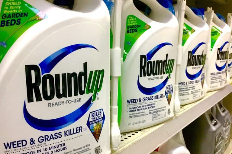 Glyphosate : Bayer condamné à indemniser un couple atteint du cancer à hauteur de 2 milliards de dollars