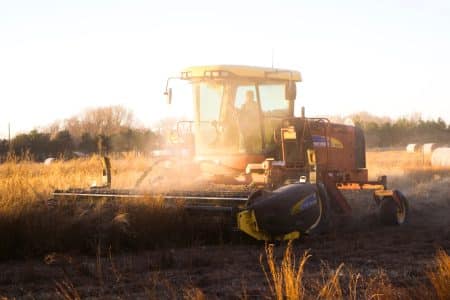 Glyphosate : il ne serait pas cancérigène pour l’homme, selon l’Agence américaine de protection de l’environnement cancérigène