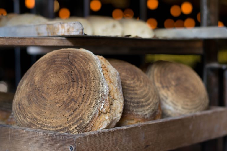 Gluten : pourquoi est-il si indigeste ?