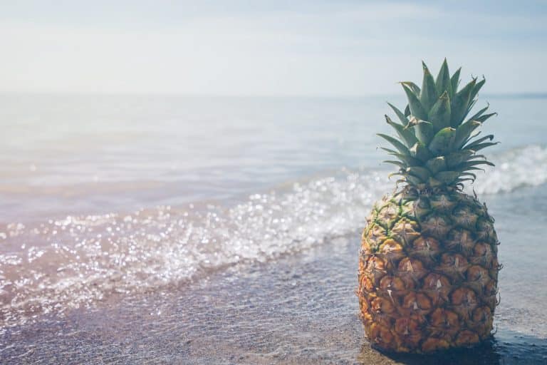 Costa Rica : les dessous du commerce de l&rsquo;ananas