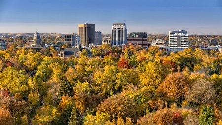 Royaume-Uni : 130 000 arbres plantés pour lutter contre le réchauffement climatique