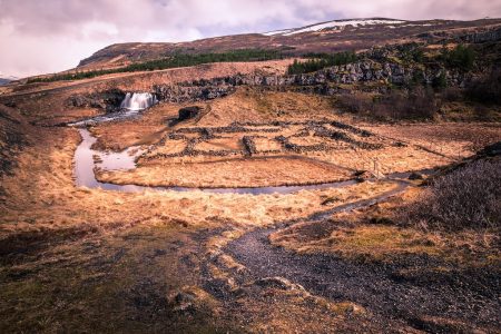 L’Islande engagée dans un vaste plan de reforestation, pour lutter contre le réchauffement climatique