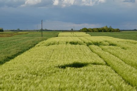 Comment s’installer en agriculture biologique en trois étapes