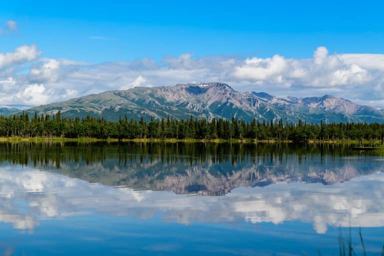 Alaska : les températures ont dépassé les 32 °C