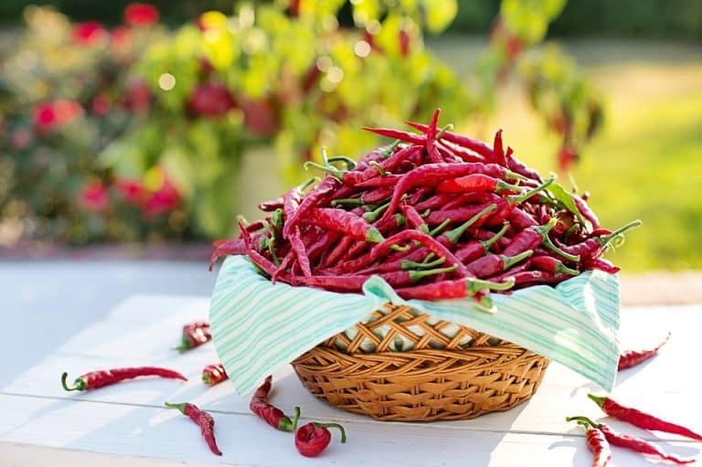 Manger trop de piments serait mauvais pour la mémoire