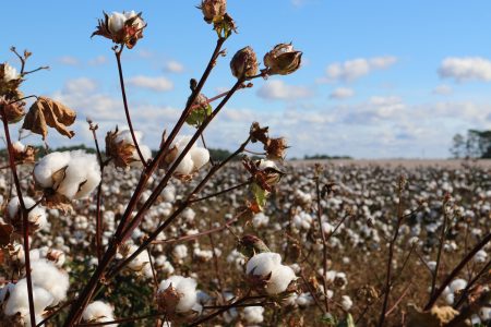 Pourquoi utiliser des tissus écolos ? tissus
