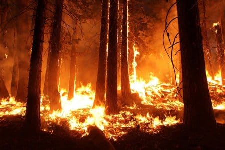 La Sibérie ravagée par les flammes