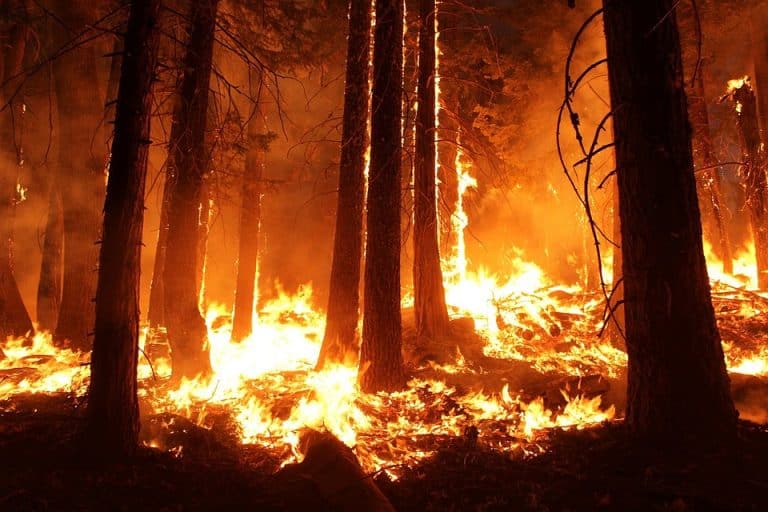 La Sibérie ravagée par les flammes