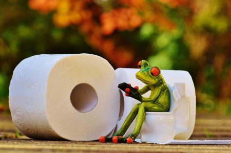 3 alternatives écolos au papier toilette classique