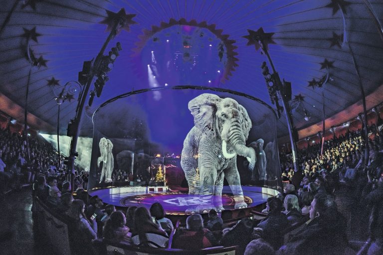 Remplacer les animaux par des hologrammes ?