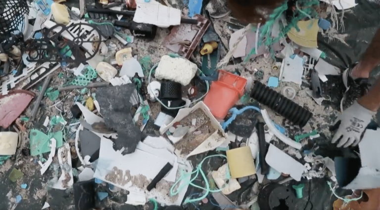 Désastre écologique sur l’île Henderson noyée sous les déchets