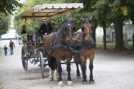 La calèche : le mode de transport alternatif idéal