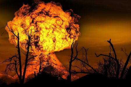 5 animaux menacés par les flammes de l’Amazonie