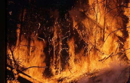L’Amazonie part en fumée…