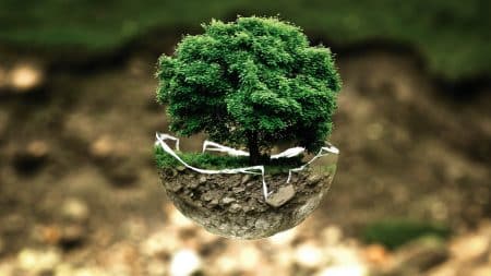 Les 5 plus grandes forêts du monde