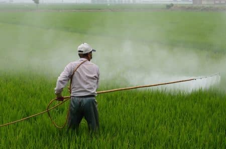 Les lobbies ont-ils eu raison de l’Agence américaine de protection de l’environnement ?