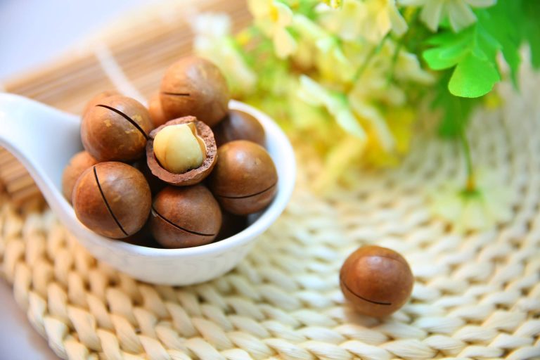 Découvrez les bienfaits de l&rsquo;huile de macadamia