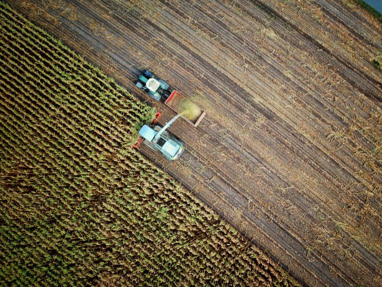 Agriculture : un nouveau modèle de culture des sols