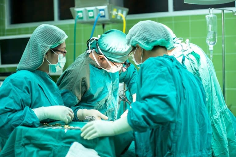 Des implants biodégradables à base de plante pour soigner la sclérose en plaques ?